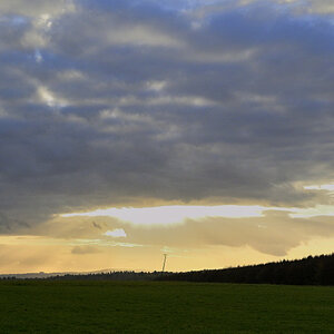 wald21013.JPG