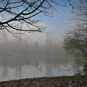 wald21017.JPG