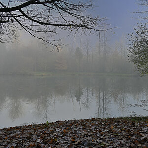 wald21018.JPG