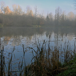 wald21019.JPG