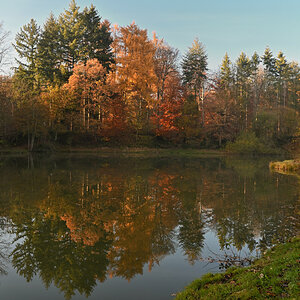 wald21020.JPG