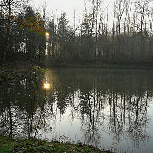wald21021.JPG