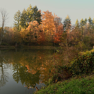wald21022.JPG