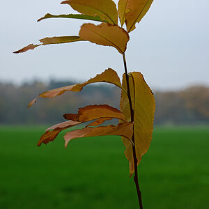 811_8078t10l10s70p1.jpg