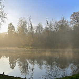wald21027.JPG