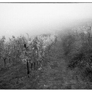 Herbst_2021-4.jpg