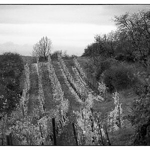 Herbst_2021-6.jpg