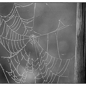 Herbst_2021-7.jpg