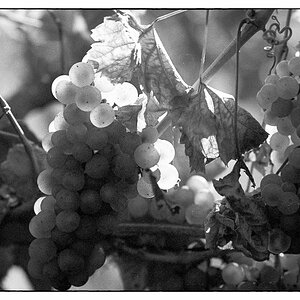 Herbst_2021-10.jpg