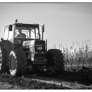 Herbst_2021-2.jpg