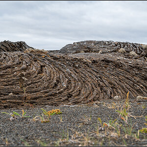 island (183).jpg