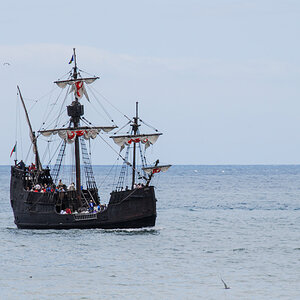 20100502-DSC_0246.jpg