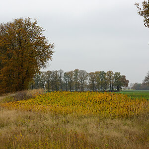 811_8090t1l5s50p1.jpg