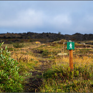 island (227).jpg