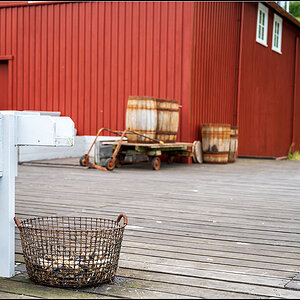 island (270).jpg