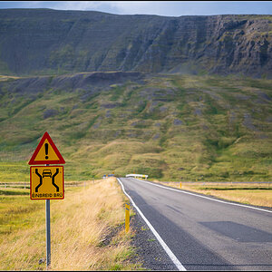 island (311).jpg