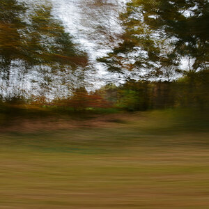 811_8097t0l10fk.jpg