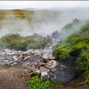 island (395).jpg