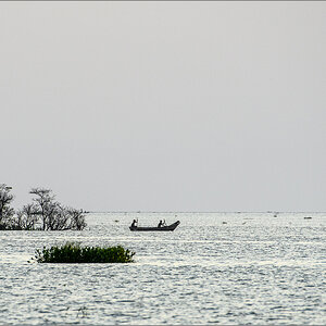 D50_4893.jpg