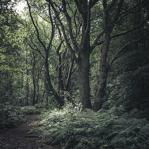 DSCF0106.jpg