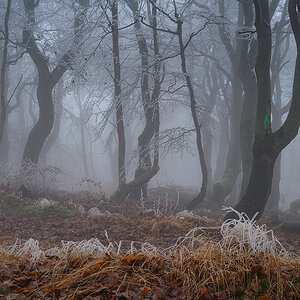 D85_5919.jpg