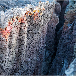 island (495).jpg