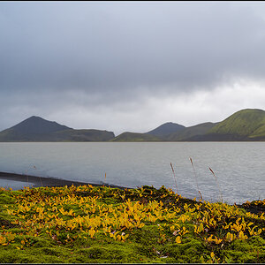 island (604).jpg