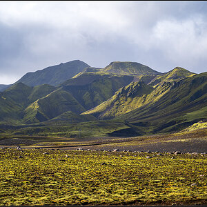 island (673).jpg