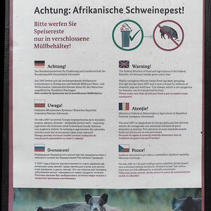 Schweinepest.jpg