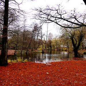 trübe Aussichten am Weiher.jpg