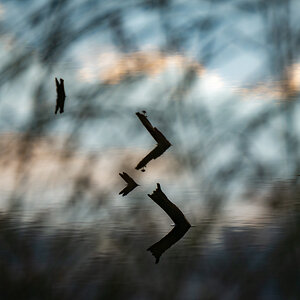 Abendstimmung im Piezmoor