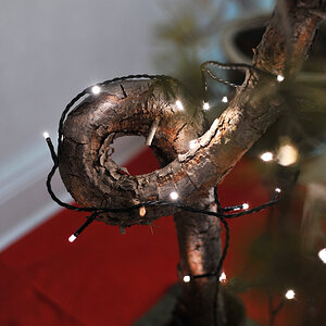 Tannenbaum 2012-2.jpg