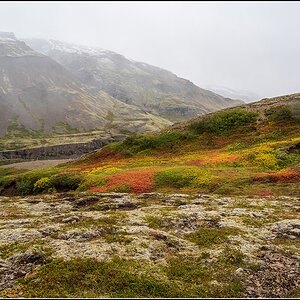 island (892).jpg