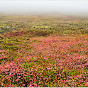 island (908).jpg