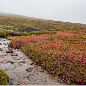 island (909).jpg