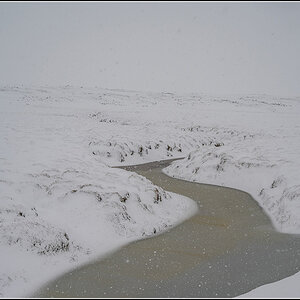 island (915).jpg
