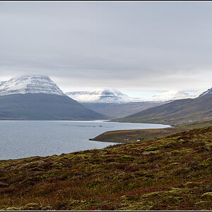 island (947).jpg