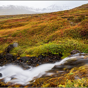 island (951).jpg