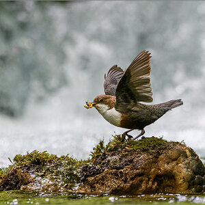 D50_8046-Bearbeitet-2.jpg