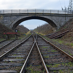 OF2_54573.jpg