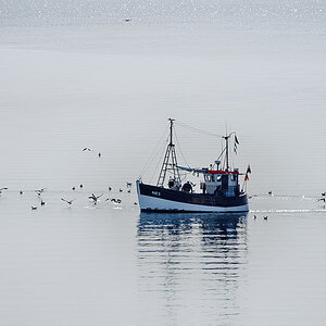 DSC_7732.jpg