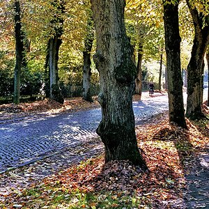 TZ_018_20_A.jpg