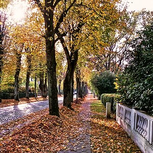 TZ_032_34_A.jpg