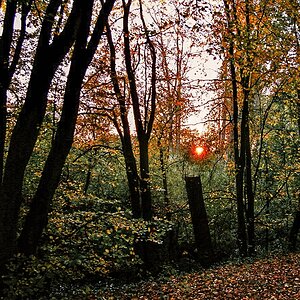 TZ_022_24_A.jpg