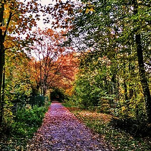 TZ_024_26_A.jpg