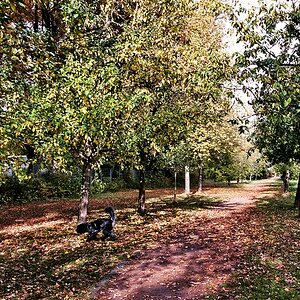 TZ_033_35_A.jpg