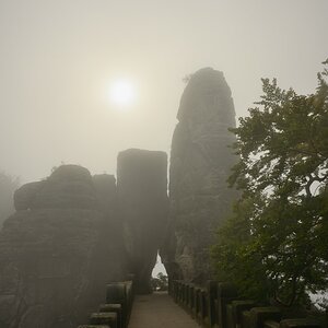 DSC_2784_00001_06n.jpg
