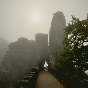 DSC_2786_00001n.jpg