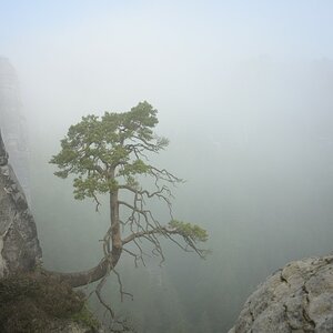 DSC_2805_00001n.jpg