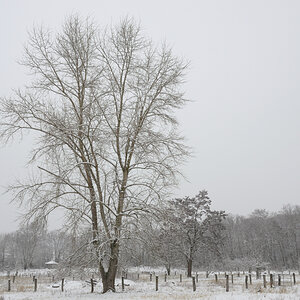 DSC_9752.JPG